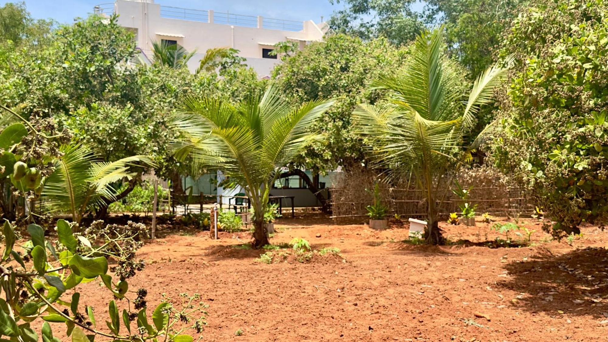 Lotus Garden Guest House Auroville Exterior foto