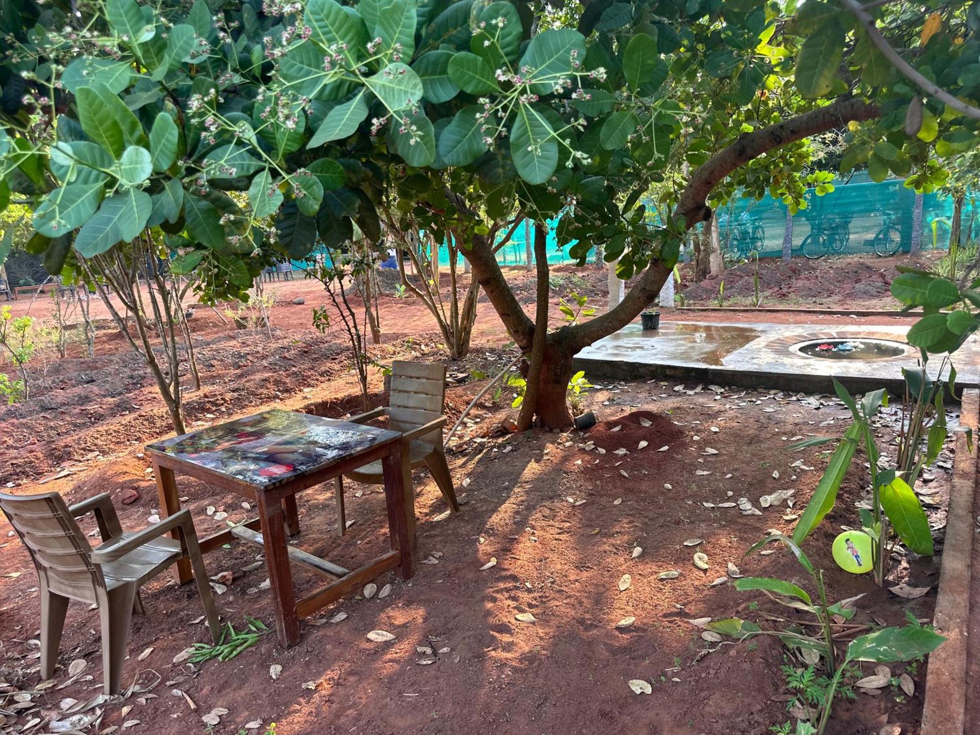 Lotus Garden Guest House Auroville Exterior foto
